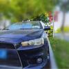 Защитный чехол из углеродного волокна для зеркала заднего вида Mitsubishi Lancer 08-12.