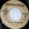 7inch Record MARSHALL TUCKER BAND - Fire On The Mountain CPS0244 Capricorn Recor 1975 US Rock Used