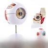 6x Magnified Human Eyeball Model for ENT & Ophthalmology Anatomy Teaching