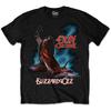 Мужская футболка Ozzy Osbourne Blizzard of Ozz, Черная, Размер L