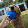 Dog Teeth Chewing Thorn Balls Pet TPR Soft Burr Elastic Ball Dog Bite Sounding Outdoor Training Interactive Chew Toy