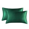 One Set Solid Color Double-sided Silk Pillowcase Mulberry Silk Ice Silk Beauty Pillowcase Single Silk Broadside Pillowcase