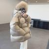 High-end Goose Down Gall-free Direct Charging Cloud Fluffy Thickened Puff Down Jacket Women's 24 Winter Fashion Hooded Bread Jacket