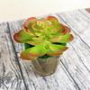 1Pc Plastic Fake Artificial Succulents Plant Bonsai Garden Home Office Decor