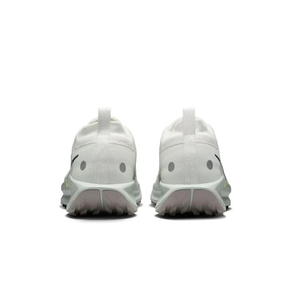 Nike Pegasus Trail 5 GORE-TEX Light Silver Sequoia Men Sneakers Grey Summit-White College-Grey FQ0908-102