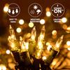 JOYFY 150 Warm White Christmas Net Lights for Christmas Eve Night Indoor & Outdoor Christmas Tree Bushes Decor