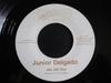 7inch Record JUNIOR DELGADO - Jah Jah Say IM003 Incredible Musi 2003 UK Reggae, Ska & Dub Used