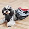 Disabled Paralyzed Pet Dog Protect Bag Anti Scratch Wheelchair Auxiliary Project (S)