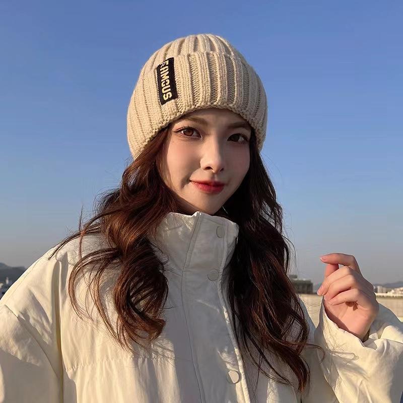 Hat Women's Autumn Winter Korean Fashion Woolen Hat Warm Ear Protection Headband Hat Big Elastic Thick Thread Knitted Hat