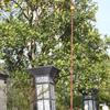 Садовый сборщик, выдвижная регулируемая садовая головка для сбора фруктов, удобная