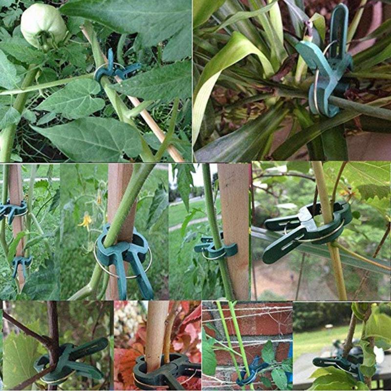 1/5/10/20Pcs Plant Fixed Clips Reusable Garden Bracket for Fixed Plants Vine Flower Seedling Tomatoes Support Garden Supplies Garden Tools