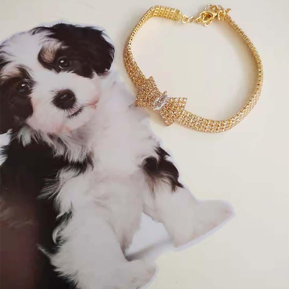 Choker For Cat and Dog Puppy Accessories Dog Chain Pet Supplies Pet Collar Dog Necklace Cat Jewelry