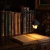 Bookshelf Lighting Vintage Lantern/Ghost Light, Metal Desk Lamp with Warm Lighting, Cozy Reading Corner Retro for Book Lovers & Library Study