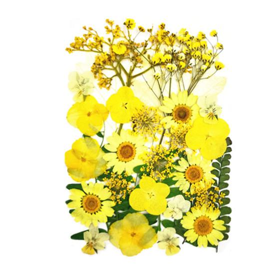 1 Set Dried Pressed Flowers Kit Colorful Natural Flowers DIY Art Crafts Supplies Resin Jewelry Epoxy Mold Candle Soap Vase Making Nail Card