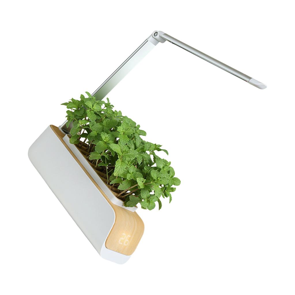 Интеллектуальная комнатная гидропонная система для садоводства с регулируемым светодиодным светом для выращивания овощей, трав, почвенных и водных растений