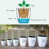 Lazy Flower Pot Automatic Water Absorbing Flowerpot Plastic Self Watering Plant Pot Plant Hydroponic Pot Garden Accessories