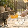 Leakproof Dog Water Bottle Large Capacity Pet Water Cup Pet Supplies Dog Outing Kettle  Hiking
