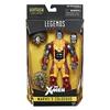 Hasbro Marvel Legends Фигурка Коллекционная Серия Warlock Коллосс Hasbro 2017 MARVEL LEGENDS СЕРИЯ WARLOCK КОЛЛОСС Legends 6-дюймов X-Men / [Киновселенная Marvel X-Men]
