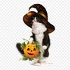 Halloween Citrouille Et Chat Cat Iron On Heat Transfer Printing Vinyl Patches Sticker for Clothes DIY Appliques Washable Patches