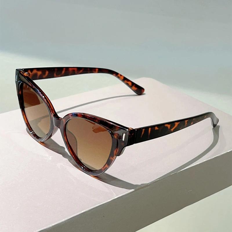 Солнцезащитные очки Кошачий глаз Женские Новинка в Винтажной Моде Повседневный Декор Оттенки Модный Дизайн Бренда Оправа Конфетного Цвета Солнцезащитные Очки