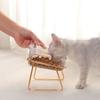 Raised Cat Food Water Bowl Transparent Slanting Mouth Elevated Pet Bowls for Cats Dogs Golden Iron
