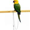 4 Size Flying Training Safe Parrot Foot Chain Bird's Foot Ring Anklet Stand Chain Ankle Foot Ring