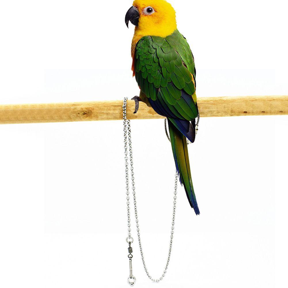 4 Size Flying Training Safe Parrot Foot Chain Bird's Foot Ring Anklet Stand Chain Ankle Foot Ring