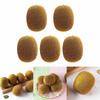 5xFruit Simulation Authentic Appearance Artificial Kiwi Fruits Realistic Fruit Model for Home Decor and Food Exhibits