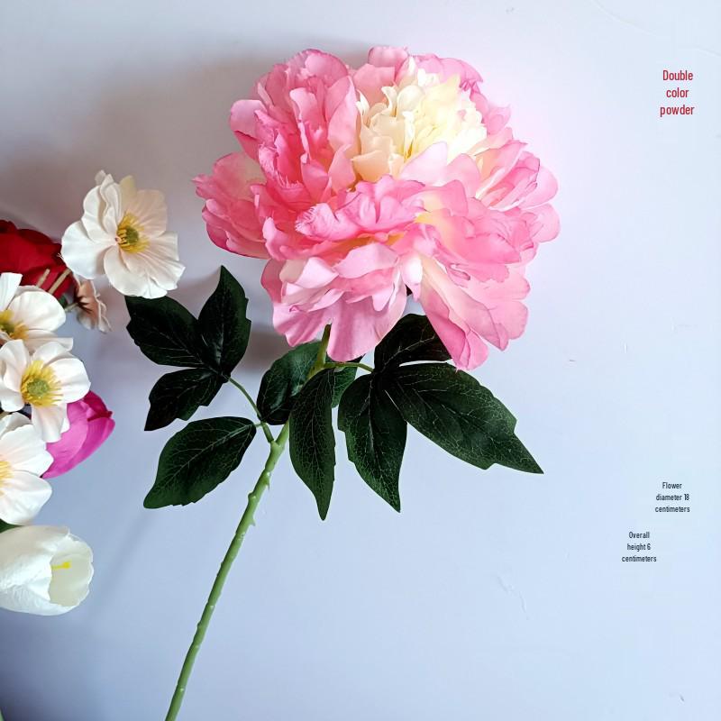 Пион Одиночный Стебель Большой Шелковый Цветок для Гостиной или Свадебного Украшения