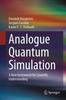 Книга Analogue Quantum Simulation : A New Instrument for Scientific Understanding