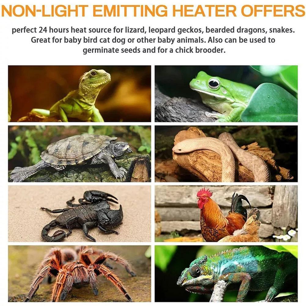 25 Вт/50 Вт/75 Вт/100 Вт греющаяся керамическая ИК-лампа для обогрева без лампы черепаха инфракрасный светильник для цыплят для домашних животных S A6X5