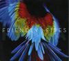 CD FRIENDLY FIRES; FRIENDLY FIRES - Pala XLCD530 XL Recordings 2011 US Dance & Electronica Used