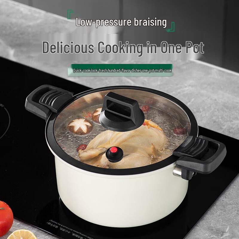 Stainless Steel Micro Pressure Cooker