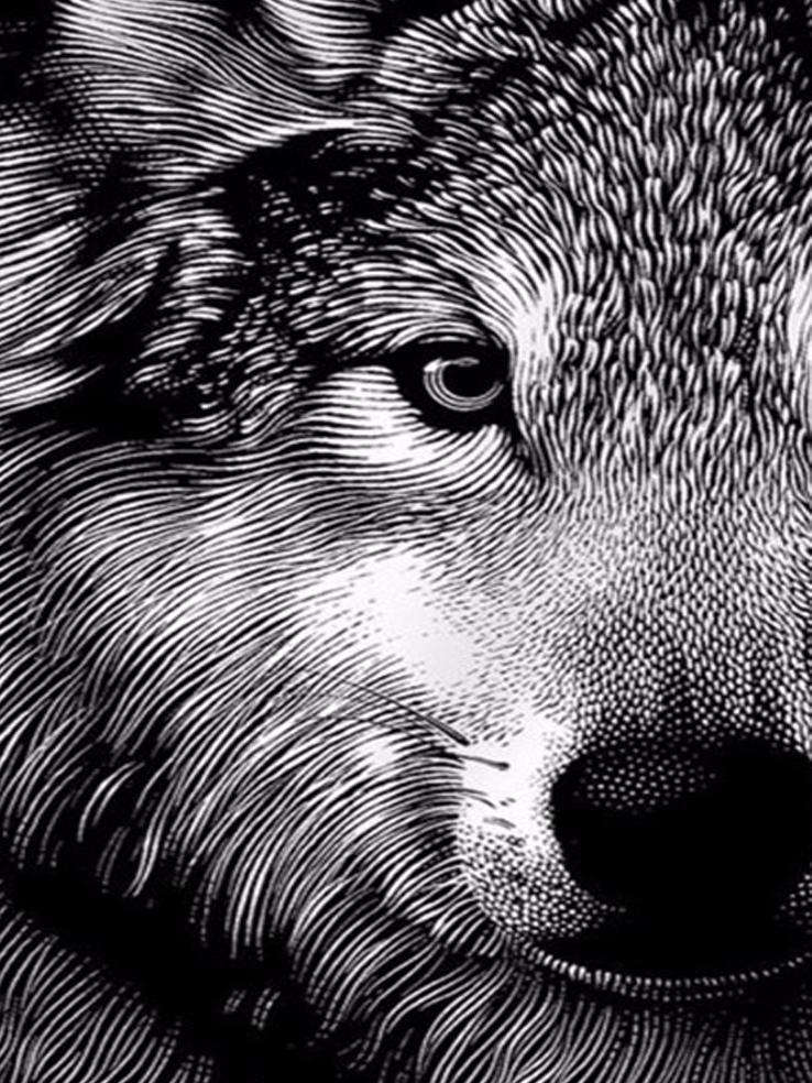 RUOPOTY Картина по номерам Слон, акрил на холсте, уникальный подарок, картина по номерам, лев, животное, украшение для дома