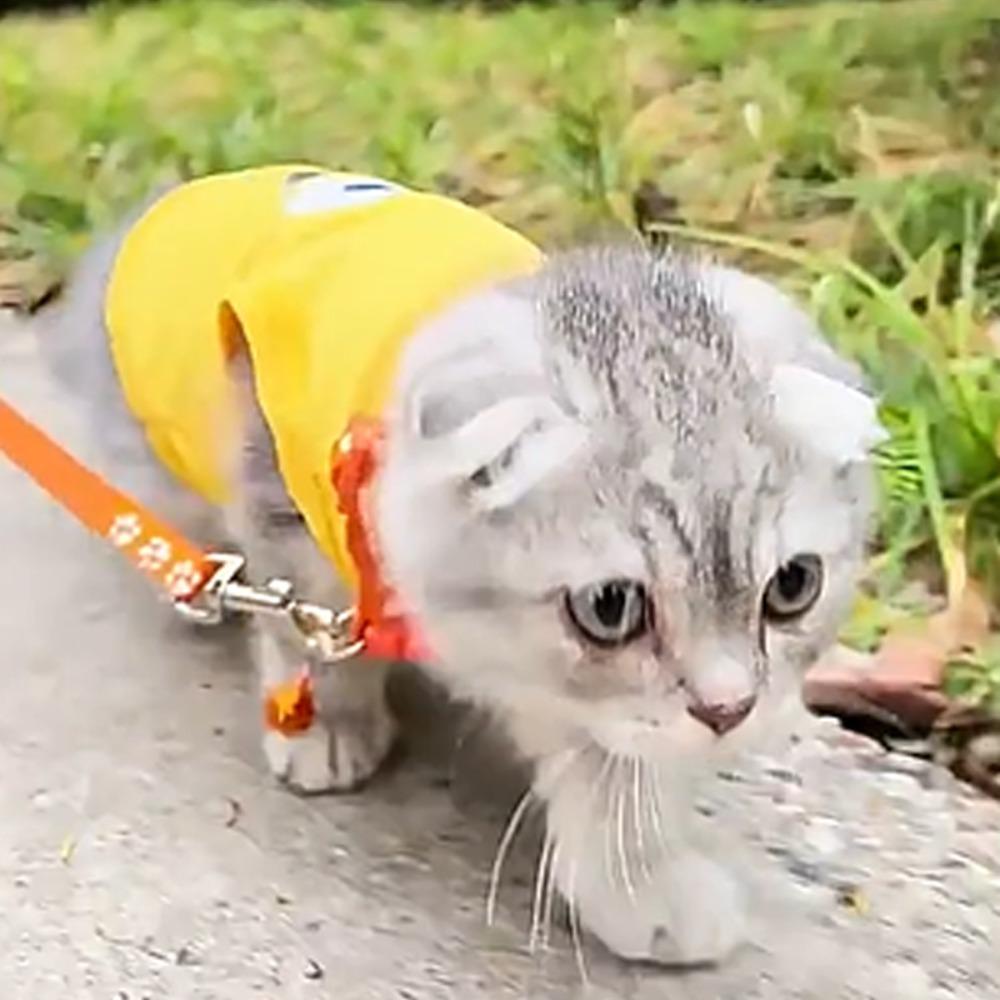 Paw Pattern Pet Walking Vest Polyester Dog Harness Belt Wear-resistant Puppy Halter  Rabbit