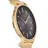 Watch Timex TRANSCEND Black Dial Brass Mineral Glass Quartz Japanese Movement 34MM America Watch TW2V52300 Gold [TIMEX] Women's [Item]