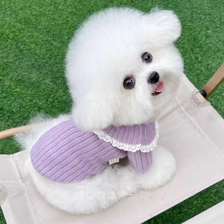Puppy dog clothes teddy bear dog cat pet clothes autumn and winter new cardigan anti-hair loss doll collar