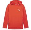 Puma Evostripe Hoodie