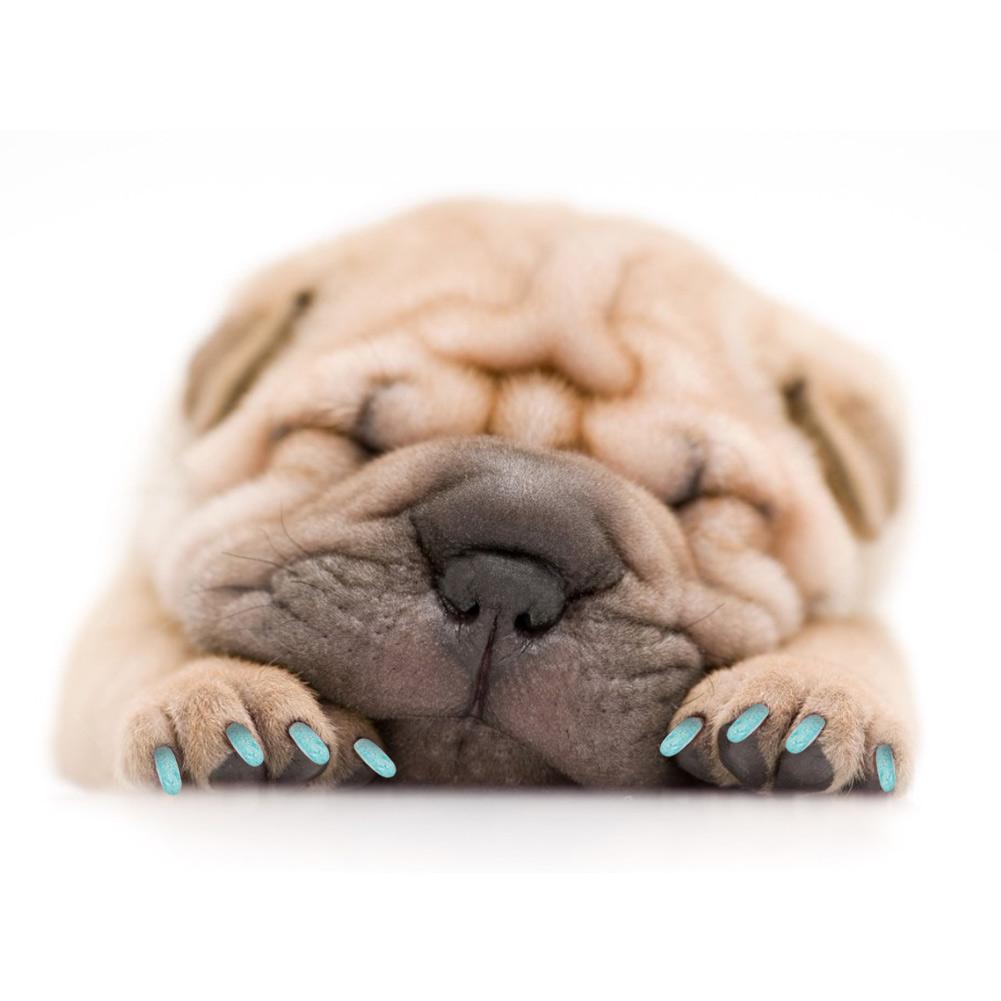 100Pcs PVC Multifunctional Soft Pets Dog Nail Cover Wraps Paws Claw Anti scratch(green S)