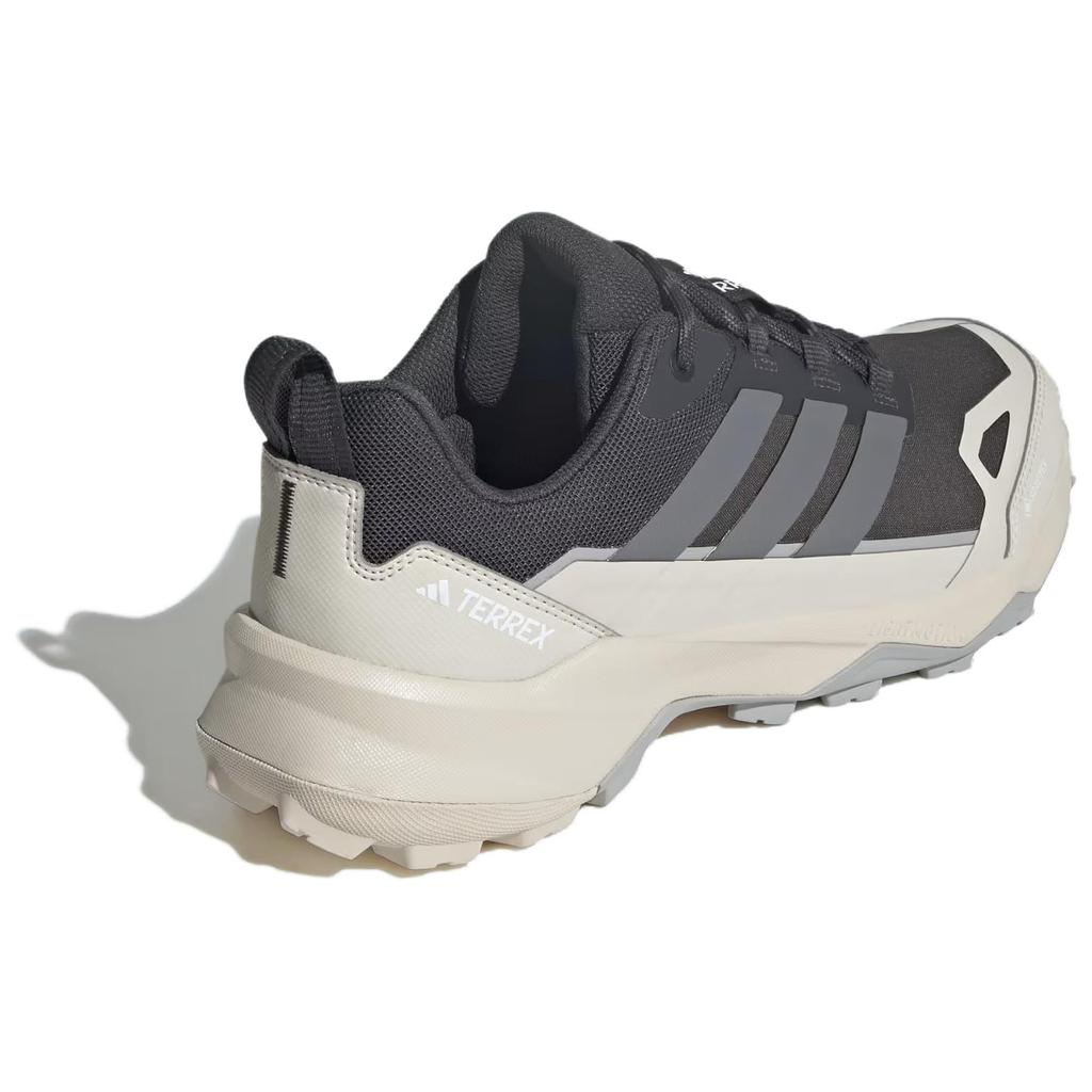 Adidas Terrex Skychaser AX5 GORE TEX 'Carbon Alumina' Sneakers JQ6724