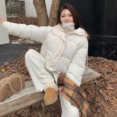 2025 Осень/Зима Корейская версия простой повседневной худи на молнии, свободная короткая теплая пуховая хлопковая куртка-пуховик