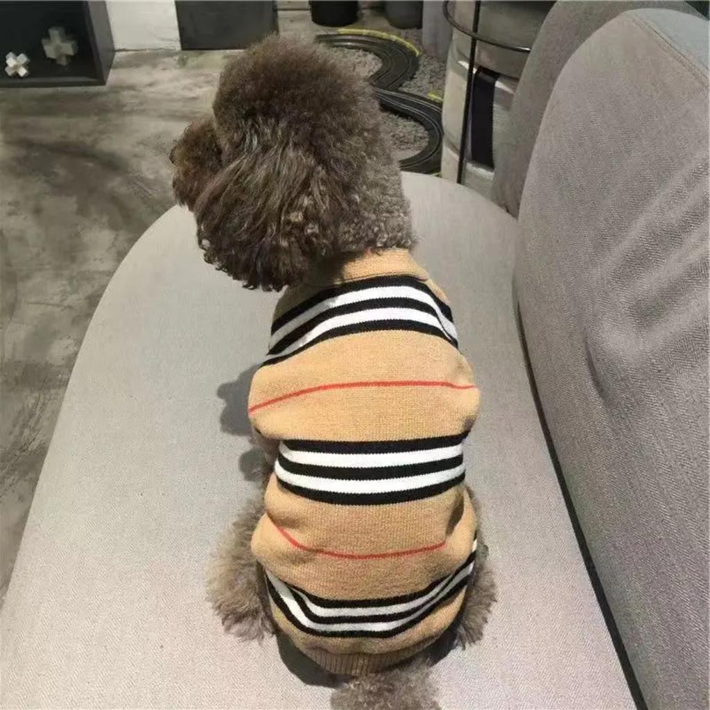 Новая уютная зимняя одежда для маленьких плюшевых собачек и померанских шпицев - Модный и теплый двуногий вязаный свитер для фризе -