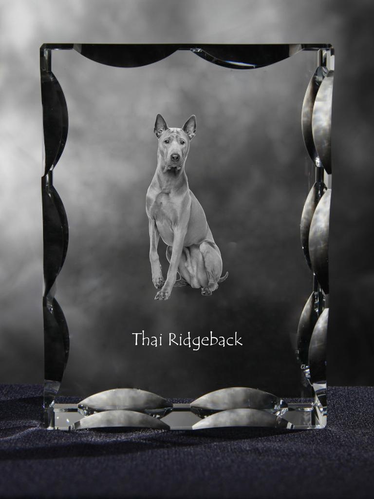 Thai Ridgeback – Crystal with a picture of a dog, glass statuette with a picture | Art-Dog