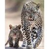 Diamond 5d Diamond Painting Diy Embroidery Cheetah Beast Animal Picture Mosaic Painting Kit Diamond Embroidery Home Decoration