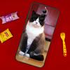 Чехол для телефона Британская короткошерстная кошка Для ZTE Nubia Red Magic 11 Pro Plus 10 10S 9 9S 8 8S 6S 7S 6 7 Pro 10 Air Чехол