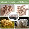 24x Клейкие фильтры-грибы для сохранения влаги для бокса для выращивания грибов Monotub Фильтры Хлопковый экран для удержания влажности