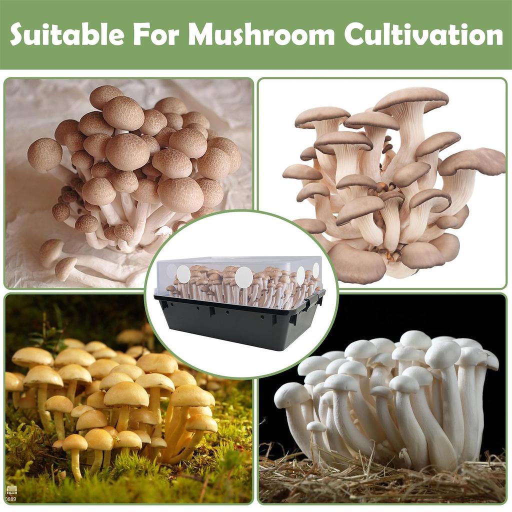 24x Клейкие фильтры-грибы для сохранения влаги для бокса для выращивания грибов Monotub Фильтры Хлопковый экран для удержания влажности