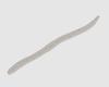 Jackall Мягкая приманка Flick Shake Worm 2.8 дюйма Magic Clear (5428)