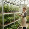 5M/10M/20M/30M Садовая система микрокапельного полива Растение Цветок Полив Дом Автоматический распылитель воды