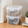 Transparent Coin Storage Box with Lid for Game and Currency Coins